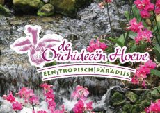 Excursie Orchideeën Hoeve