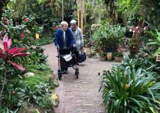 Bezoek Orchideeën Hoeve een succes