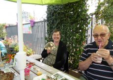 Groene activiteit en Tweede Kamer op de daktuin